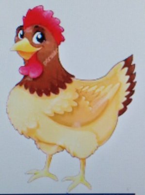 مرغ