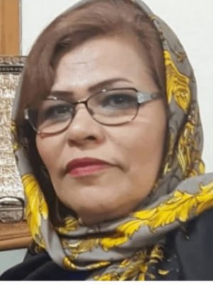فاطمه سعادتمند: حاکمیت میلی به تشکیل یک شورای قوی و فعال ندارد/ شوراها باری بر دوش شهرداری ها شده اند