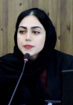 نقد و تحلیل ِ حسرت محمودآبادی بر کتابِ مجموعه داستانِ «زندانی» ؛ نوشته مهدی بردبار (اسپندیار)