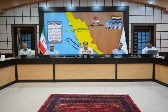 استاندار بوشهر: اجرای طرحهای نهضت ملی مسکن و جوانی جمعیت، از اولویتهای استان است