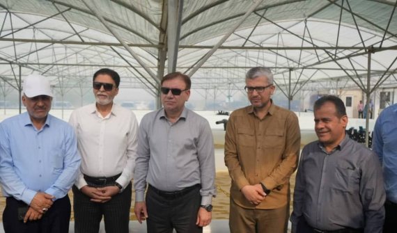 طرح تولید ریزجلبک اسپیرولینا در دشتستان با حضور استاندار به بهرهبرداری رسید